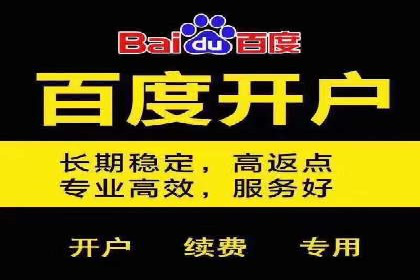 SEM竞价代运营：案例见证品牌知名度提升